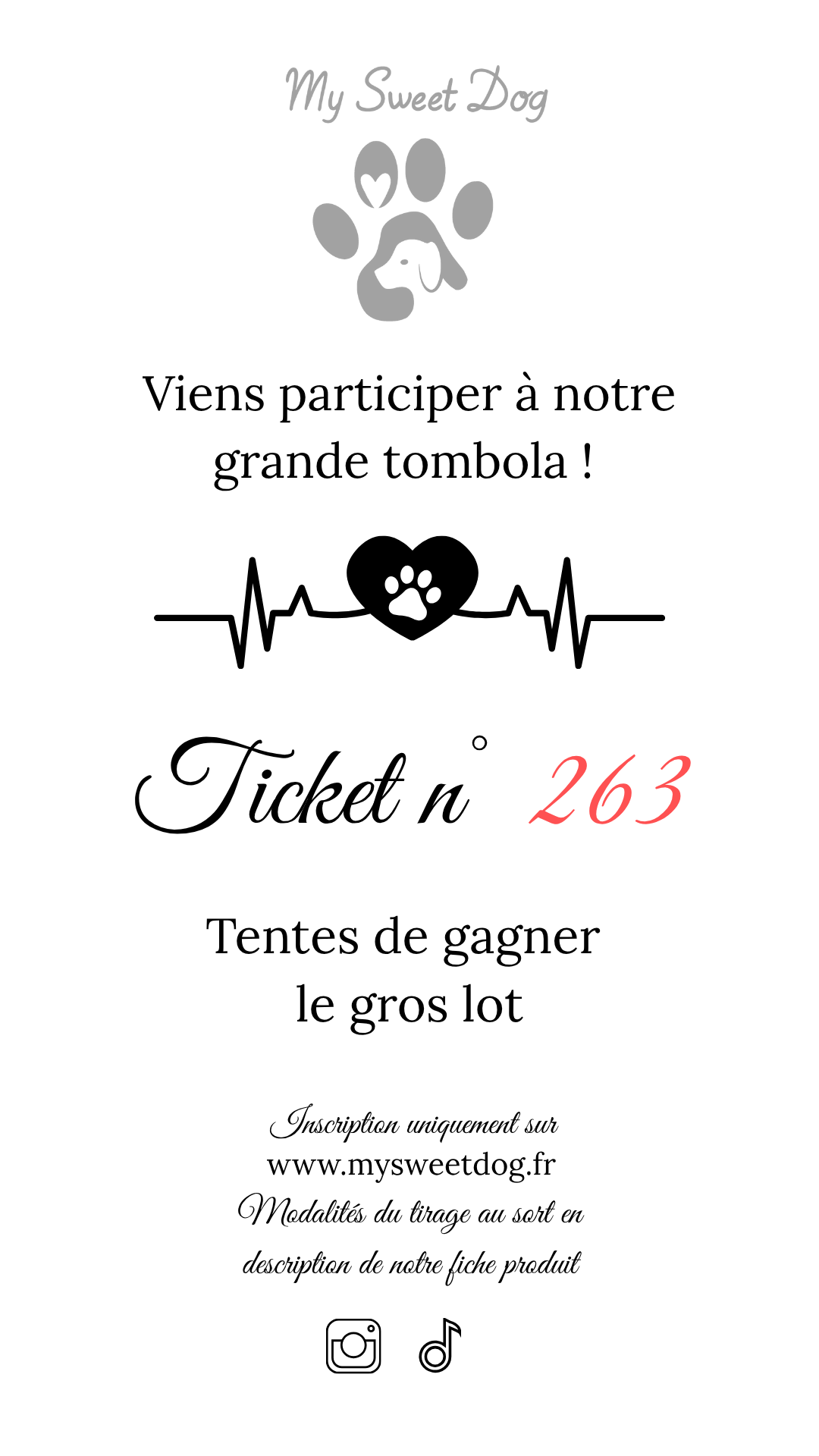 Ticket tombola 201-300