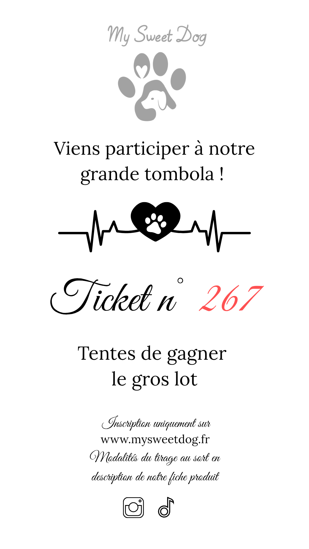 Ticket tombola 201-300