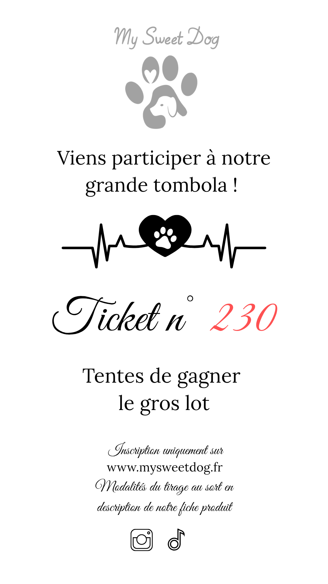 Ticket tombola 201-300