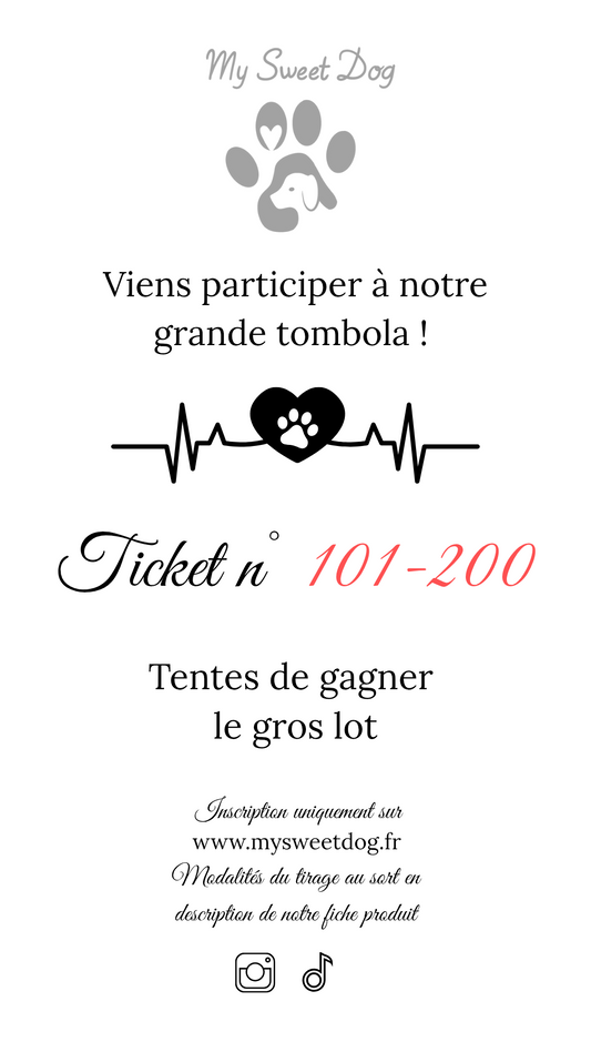 Ticket tombola 101-200
