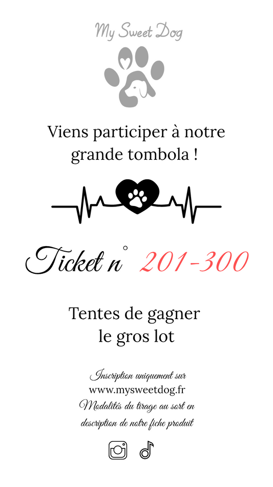 Ticket tombola 201-300