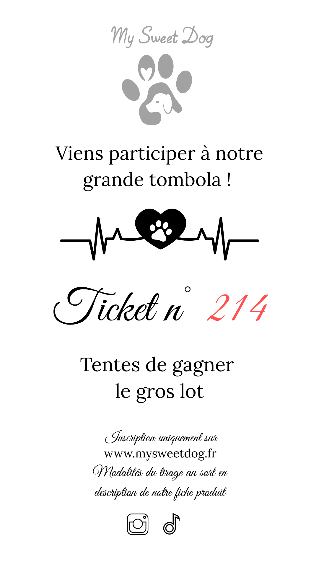 Ticket tombola 201-300